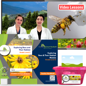 Exploring Bees & <br/> Their Habitat Module