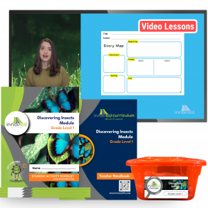 Discovering </br> Insects Module