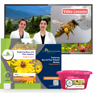 Exploring Bees & <br/> Their Habitat Module