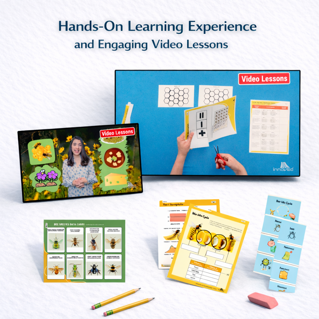 Exploring Bees & <br/> Their Habitat Module - Image 4